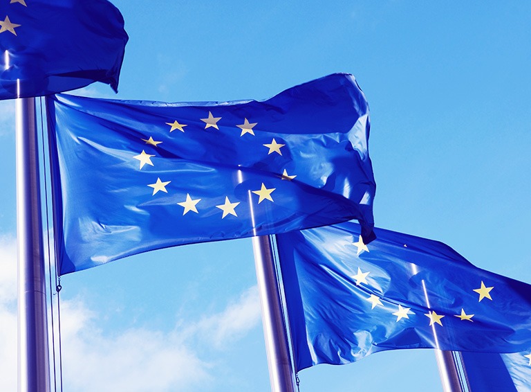 european union flag